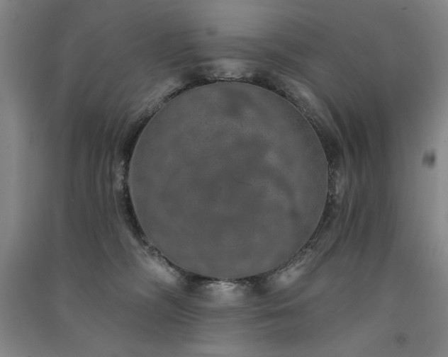 X0000091330326200708171356