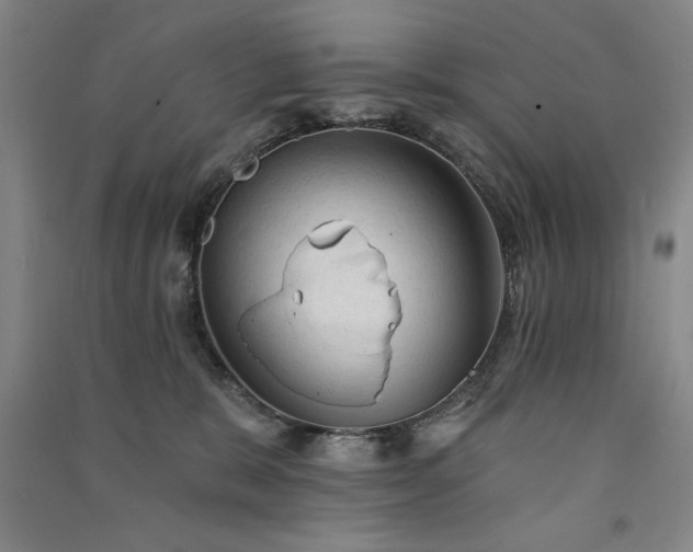 X0000091330327200708171356