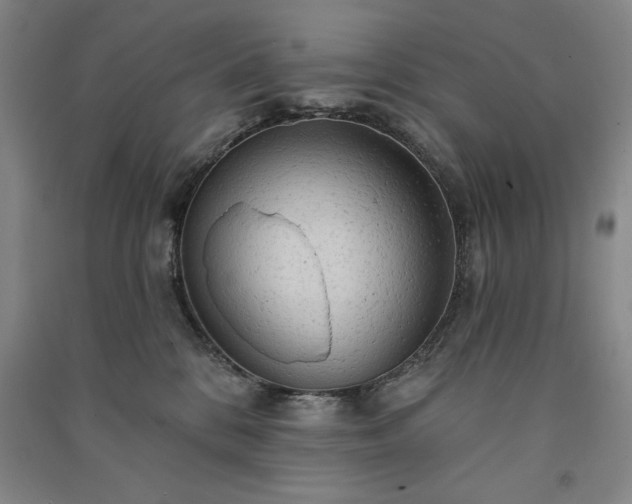 X0000091330328200708171356