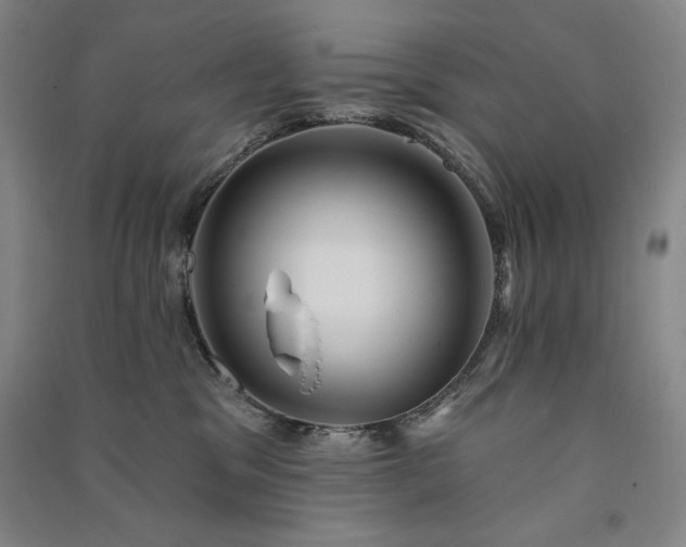 X0000091330329200708171356