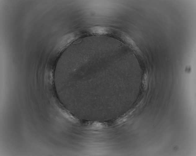 X0000091330330200708171356