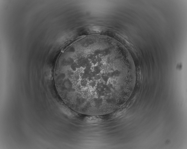 X0000091330331200708171356