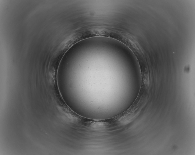 X0000091330332200708171356