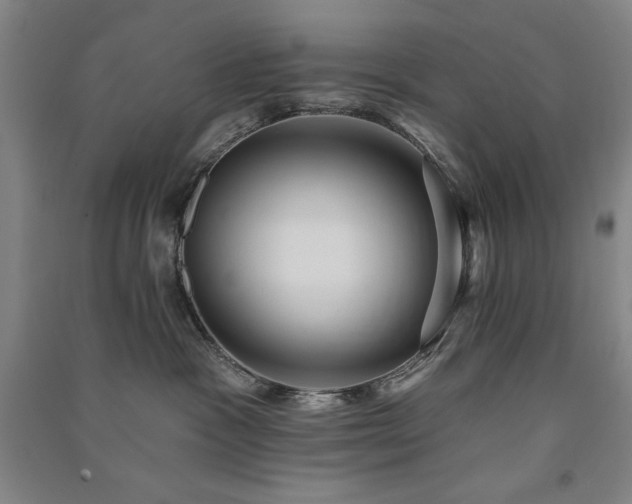 X0000091330333200708171356