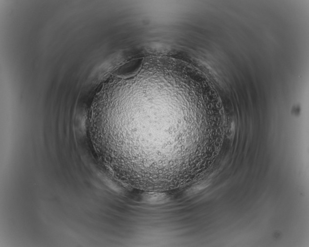 X0000091330334200708171356