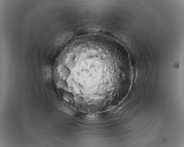 X0000091330335200708171356