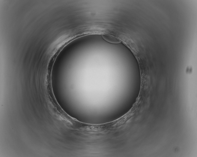 X0000091330338200708171355