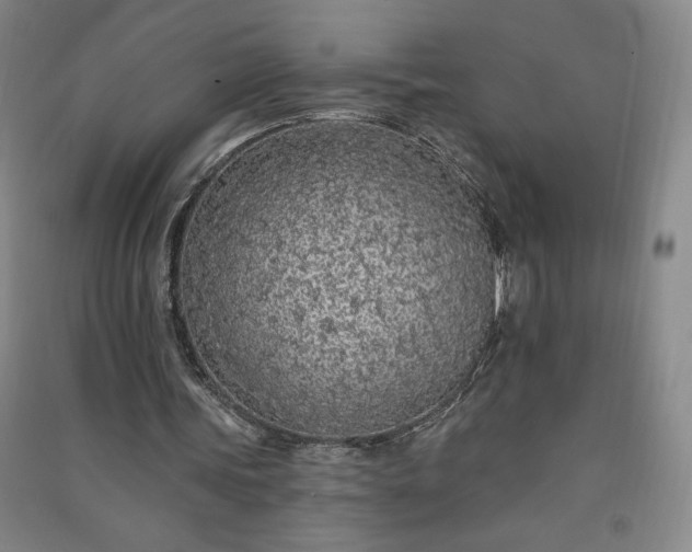 X0000091330339200708171355