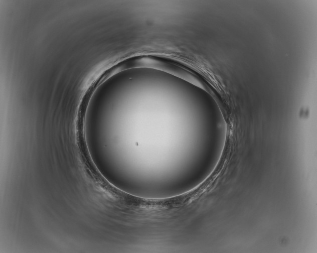 X0000091330340200708171355