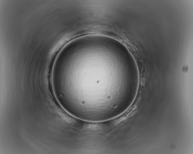 X0000091330341200708171355