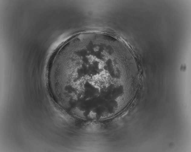 X0000091330343200708171355