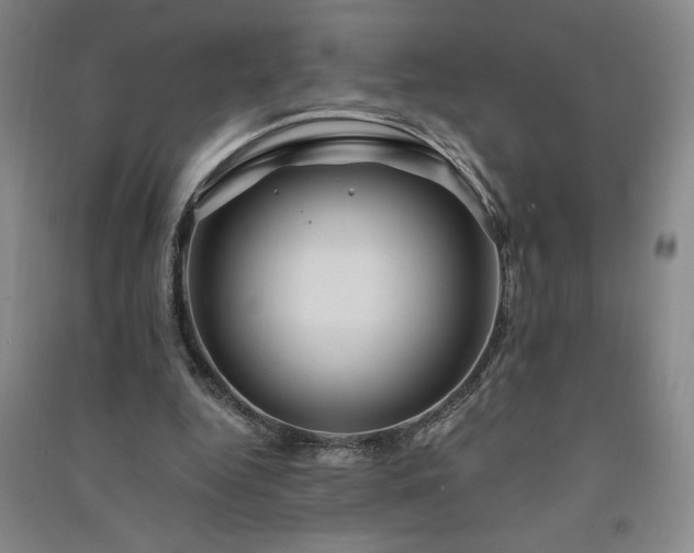 X0000091330344200708171355