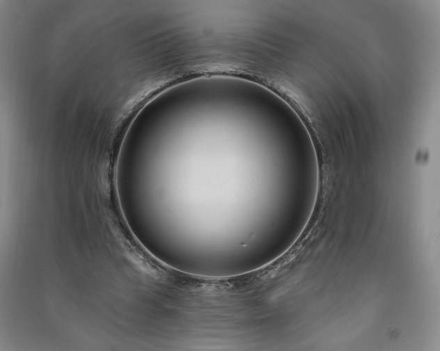 X0000091330345200708171355