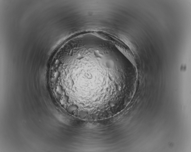 X0000091330346200708171355