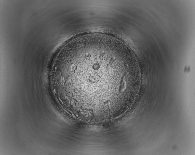 X0000091330347200708171355