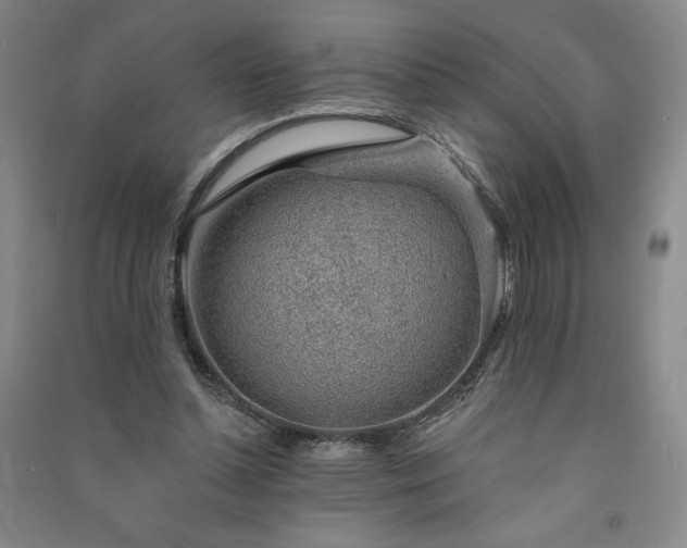 X0000091330348200708171355