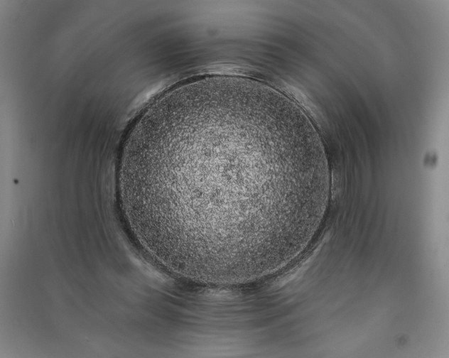 X0000091330349200708171355