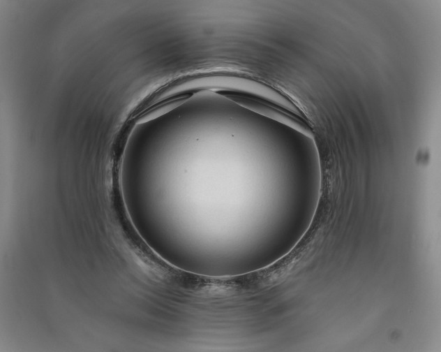 X0000091330350200708171355