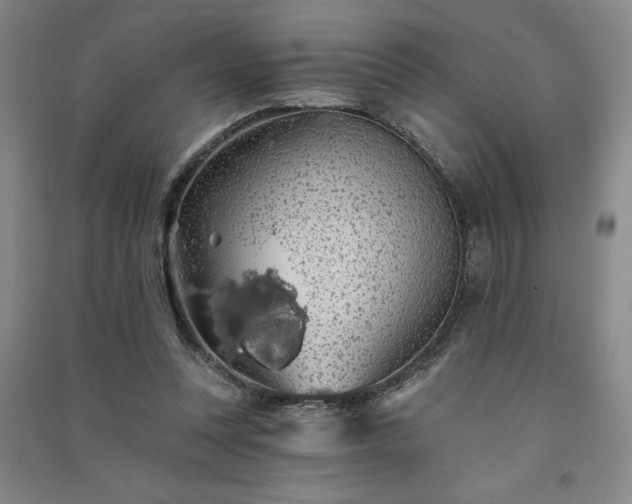 X0000091330351200708171355