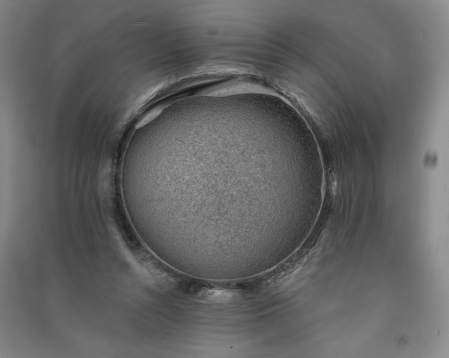 X0000091330352200708171355