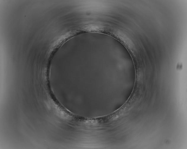 X0000091330353200708171355