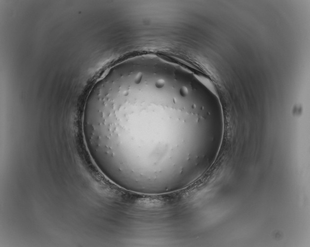 X0000091330354200708171355