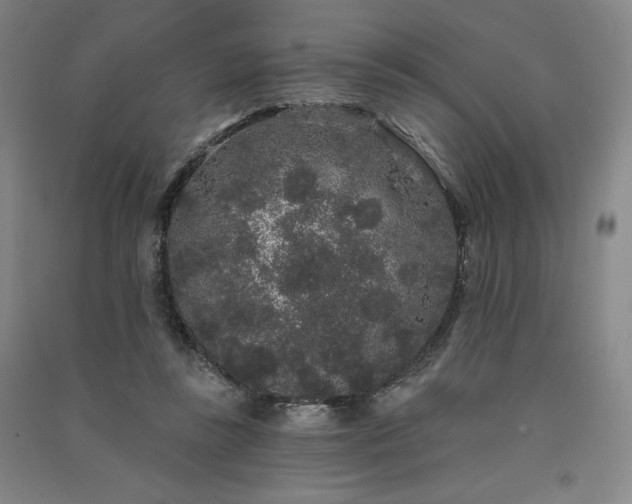 X0000091330355200708171355