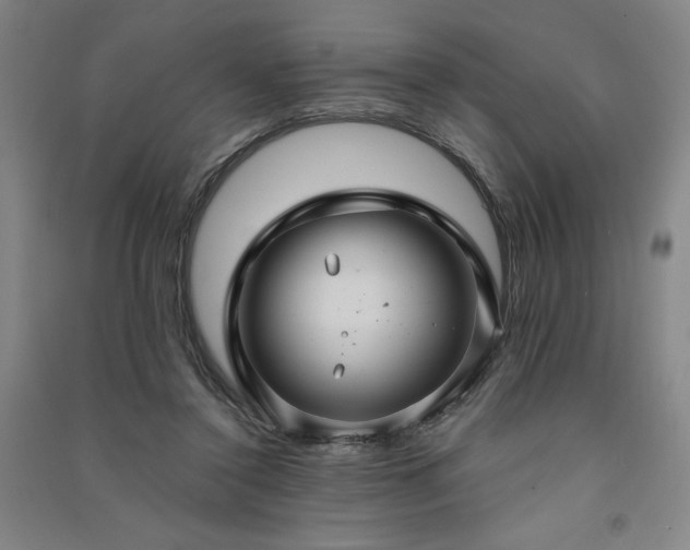 X0000091330356200708171356