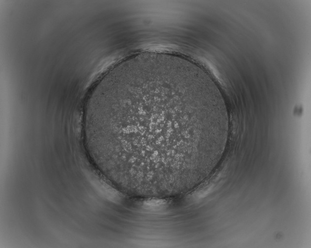 X0000091330357200708171356