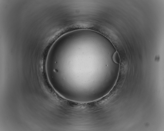 X0000091330358200708171356