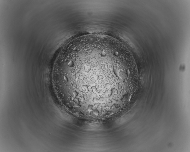 X0000091330359200708171356