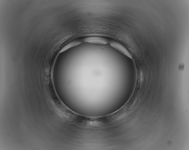 X0000091330360200708171356