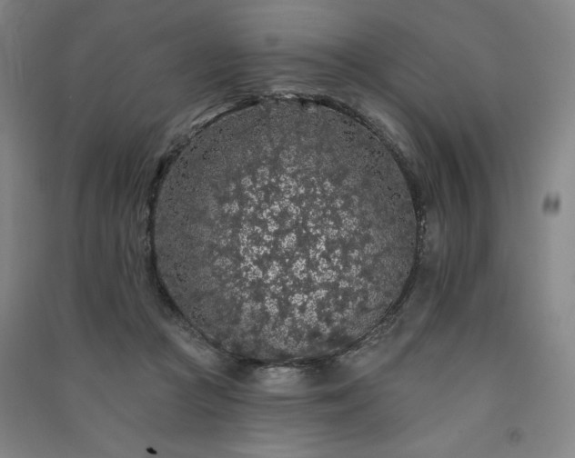 X0000091330361200708171356