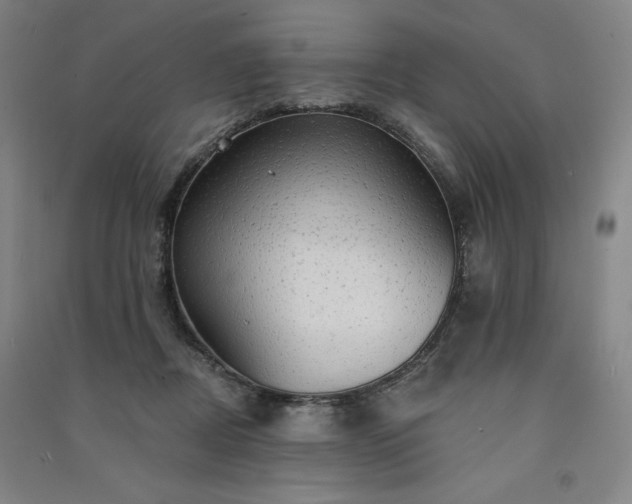 X0000091330362200708171356