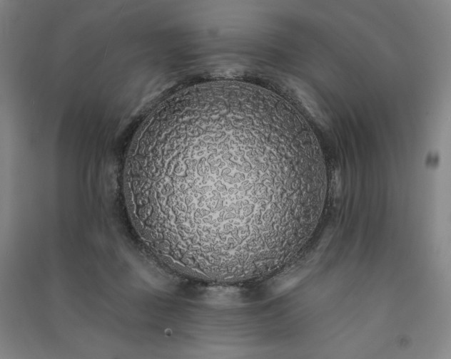 X0000091330363200708171356