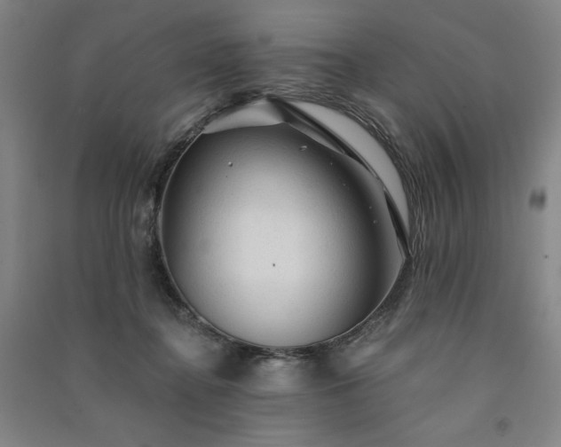 X0000091330364200708171356