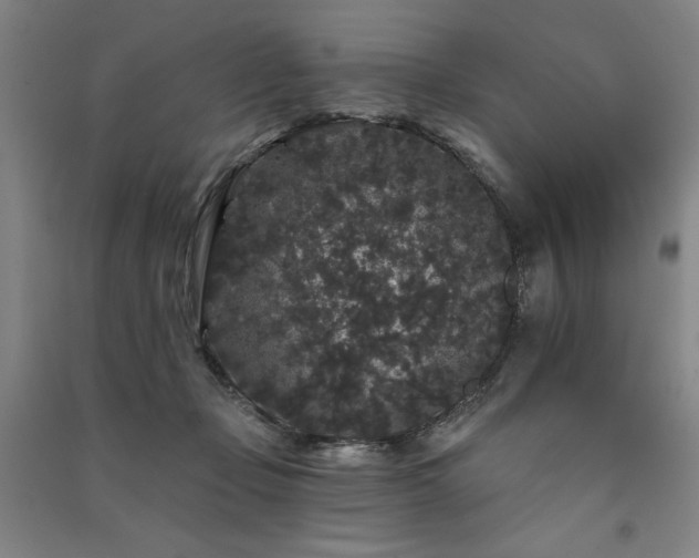 X0000091330365200708171356