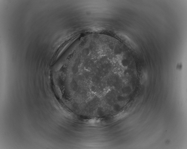 X0000091330366200708171356