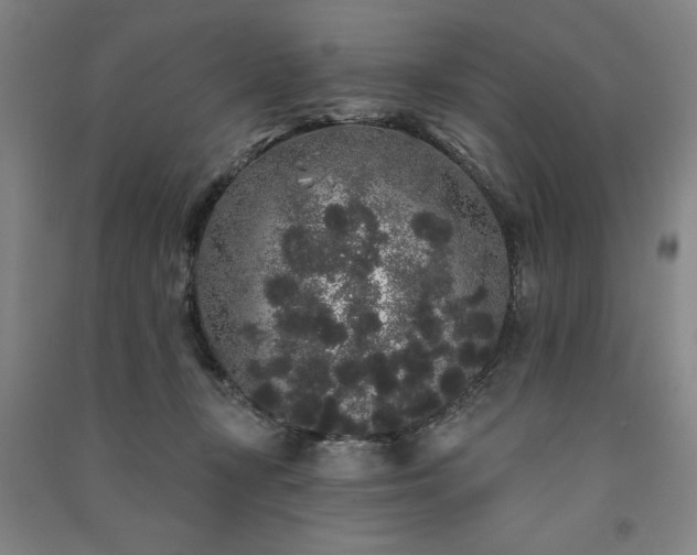 X0000091330367200708171356