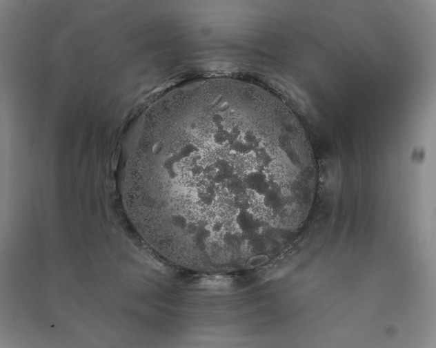 X0000091330369200708171356