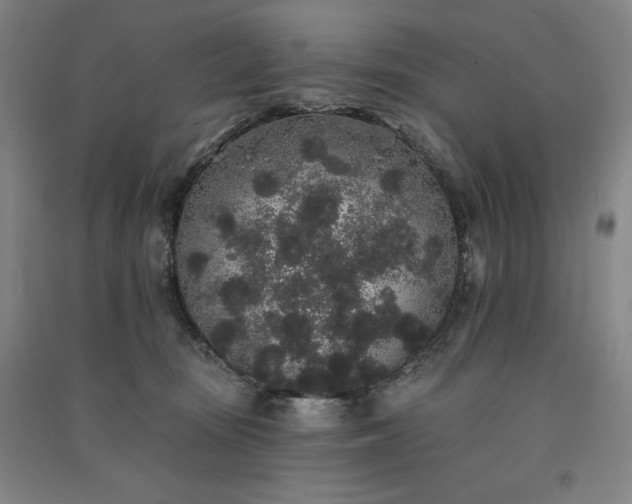 X0000091330371200708171356