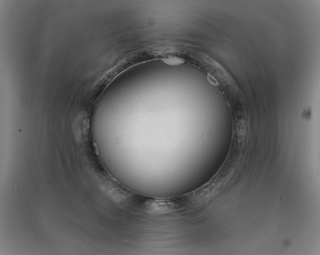 X0000091330372200708171356