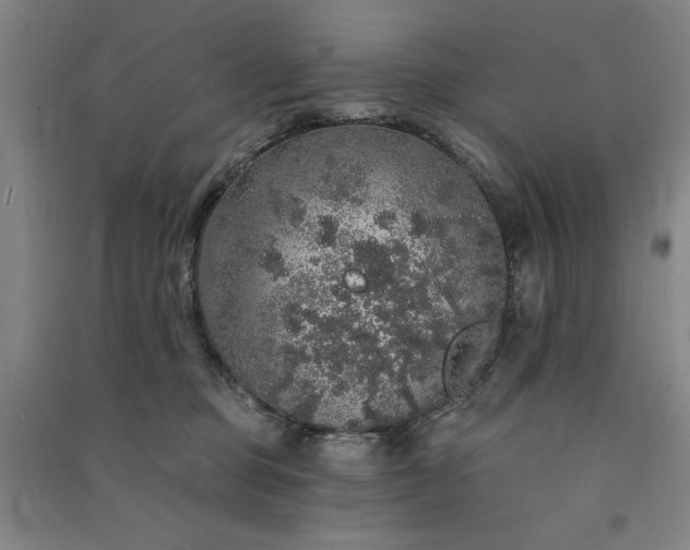 X0000091330373200708171356