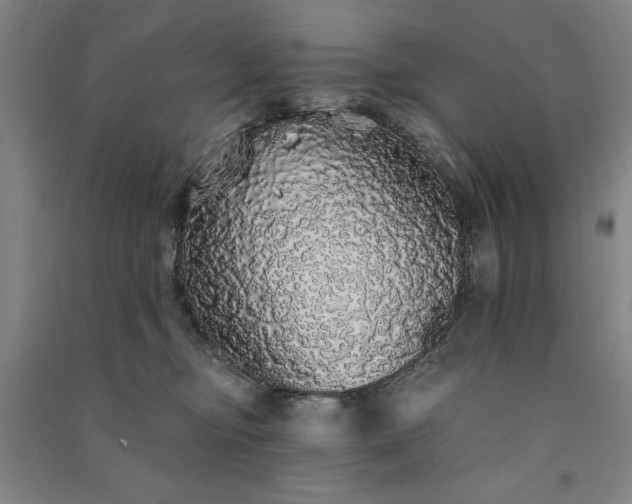 X0000091330374200708171356