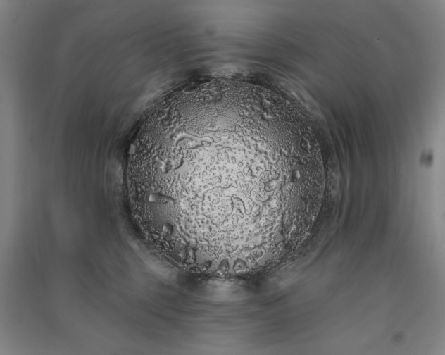 X0000091330375200708171356