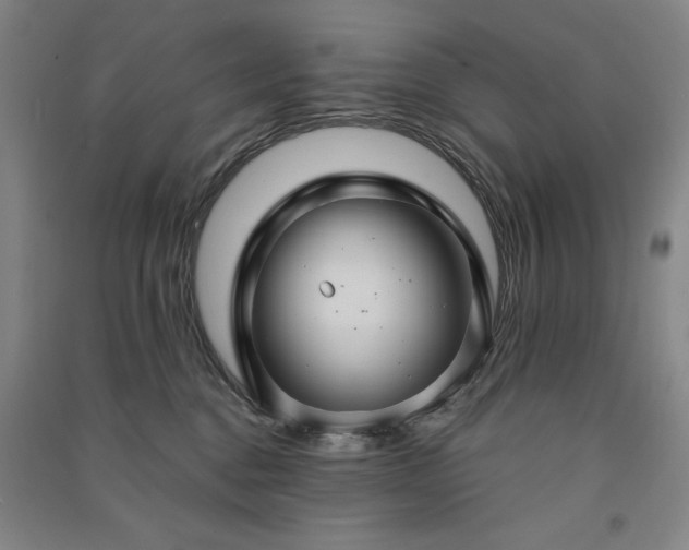 X0000091330376200708171356