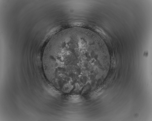 X0000091330377200708171356