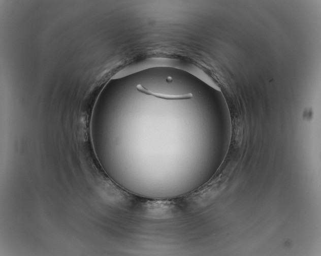 X0000091330378200708171356