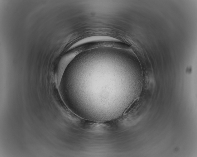 X0000091330379200708171356