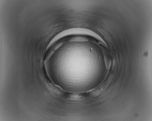 X0000091330380200708171356